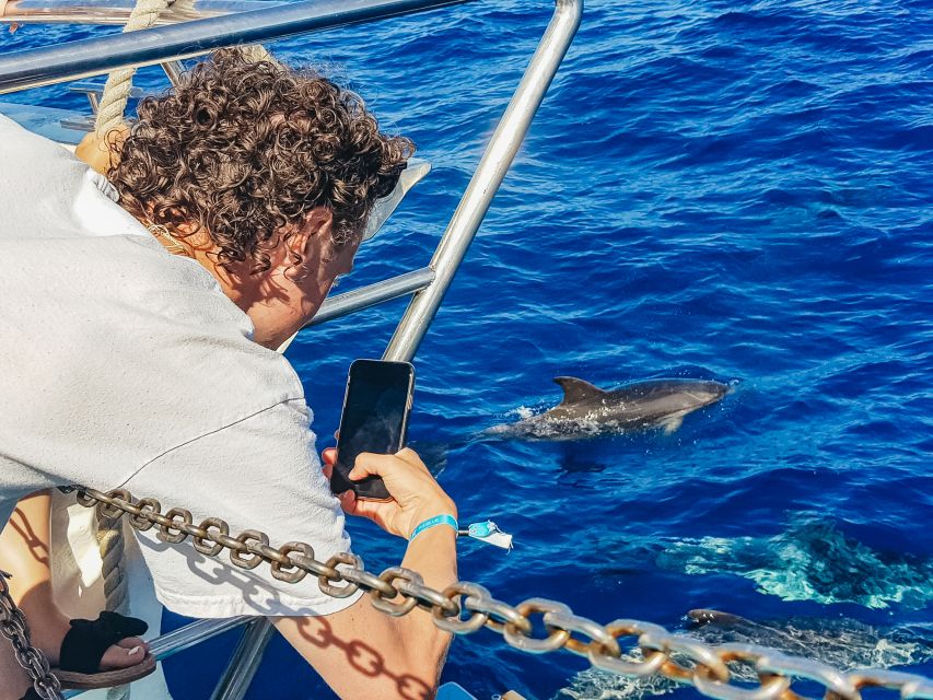 Gran Canaria: Catamaran Dolphin Watch Cruise with Snorkeling - How seasickness risk plays into your comfort level