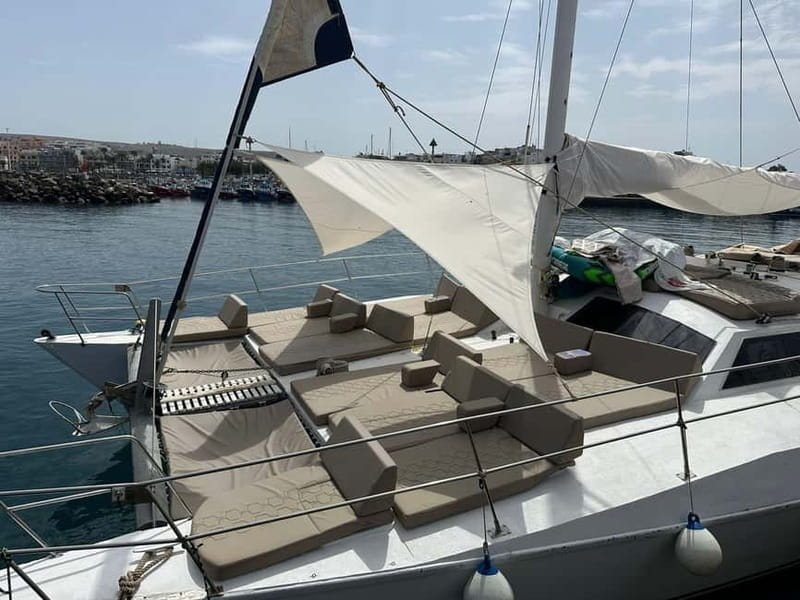 Gran Canaria: Catamaran Tour with Lunch and Drinks - Sailing south from Arguineguín: the coast views and the dolphin question