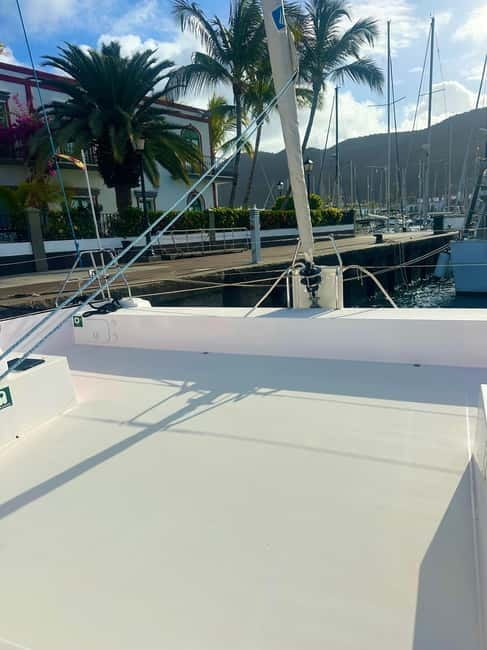 Gran Canaria: Catamaran Tour with Lunch on Pristine Beaches - Snorkeling, marine life viewing, and paddle boards—actually included
