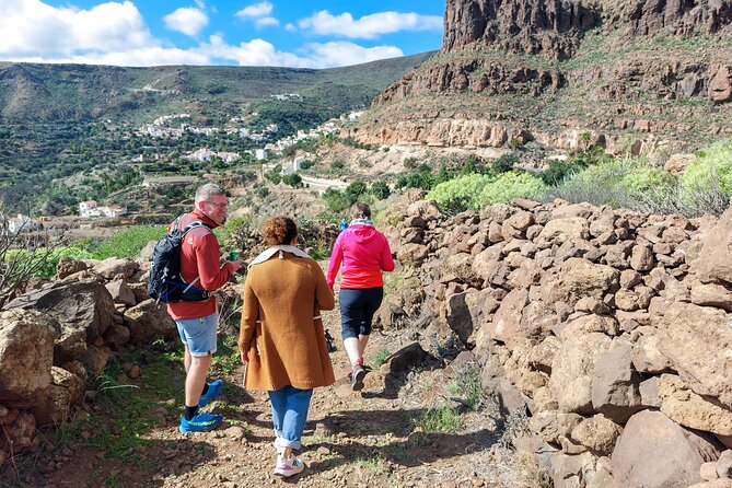 Gran Canaria Cave, Oasis, Red-gorge Adventure & cosy Picnic - Key Things That Make This Tour Worth Your Time