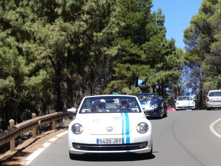 Gran Canaria: Convertible Beetle Tour - A convertible Beetle beats the usual Gran Canaria bus day