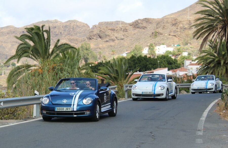Gran Canaria: Convertible Beetle Tour - Aloe Vera Finca Canarias: a guided look with some commercial edge