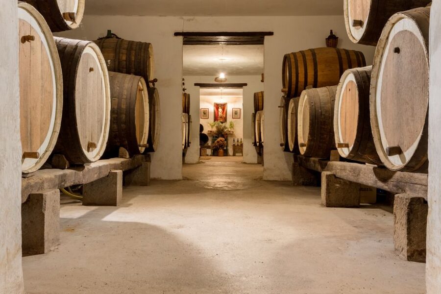 Gran Canaria: Customizable Private Tour - Key highlights you’ll care about