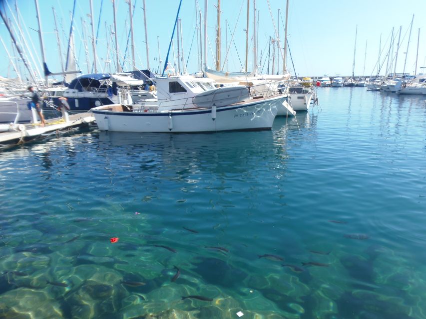 Gran Canaria: Customizable Private Tour - Price and logistics: $424 per group up to 3
