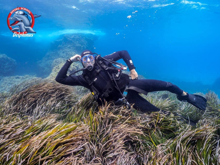 Gran Canaria: Discover Scuba Diving Beginner Program - Key things you’ll notice right away