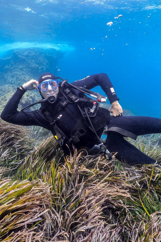 Gran Canaria: Discover Scuba Diving Beginner Program - What “participant guide” means for your future scuba plans