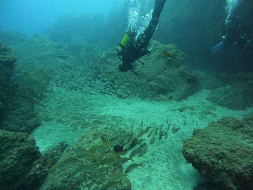 Gran Canaria: Discover Scuba Diving - Free Transfers - The 4-hour rhythm: what happens from pickup to hotel drop-off