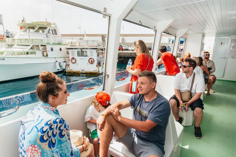 Gran Canaria: Dolphin and Whale Watching Cruise - Key things that make this cruise worth considering