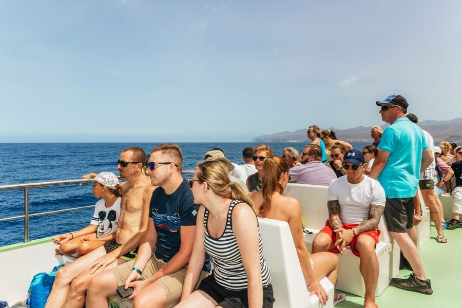 Gran Canaria: Dolphin and Whale Watching Cruise - Who should book this cruise (and who should skip it)