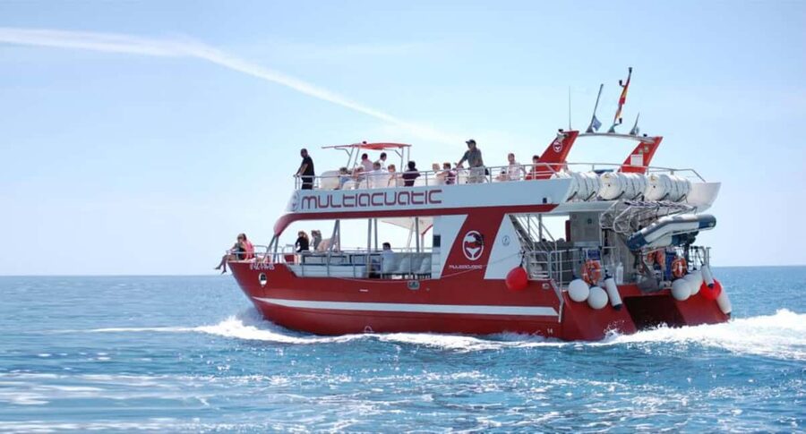Gran Canaria Dolphin Safari and a swim - On the water: what the dolphin-and-whale search actually means