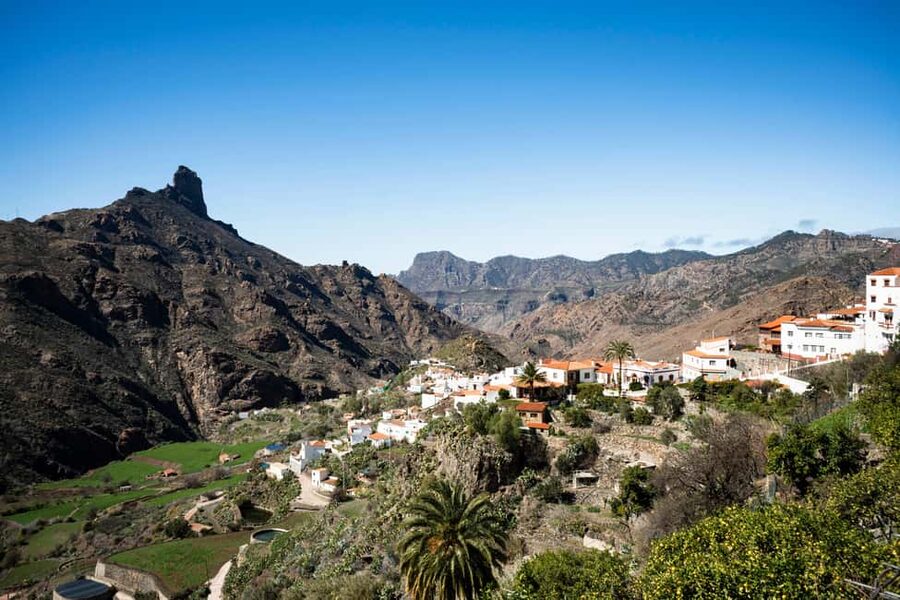 Gran Canaria from the Heights: Fataga and Tejeda - Aloe Vera farm visit: practical plant-to-product know-how