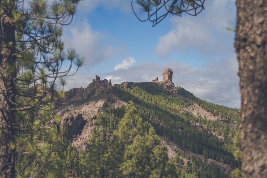 Gran Canaria: Full-Day Customizable Private Photography Tour - The green north break: Tilos de Moya