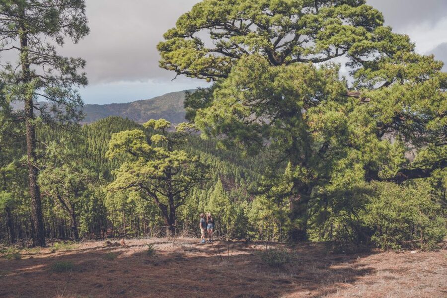 Gran Canaria: Full-Day Customizable Private Photography Tour - Pico de las Nieves: your top-of-the-island moment