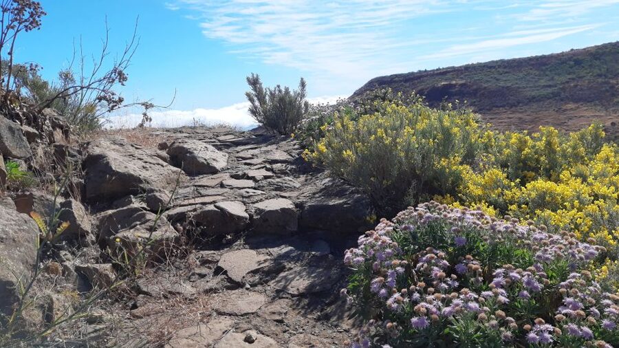 Gran Canaria: Full-Day Guided Hiking With Snacks - Key Points Worth Knowing
