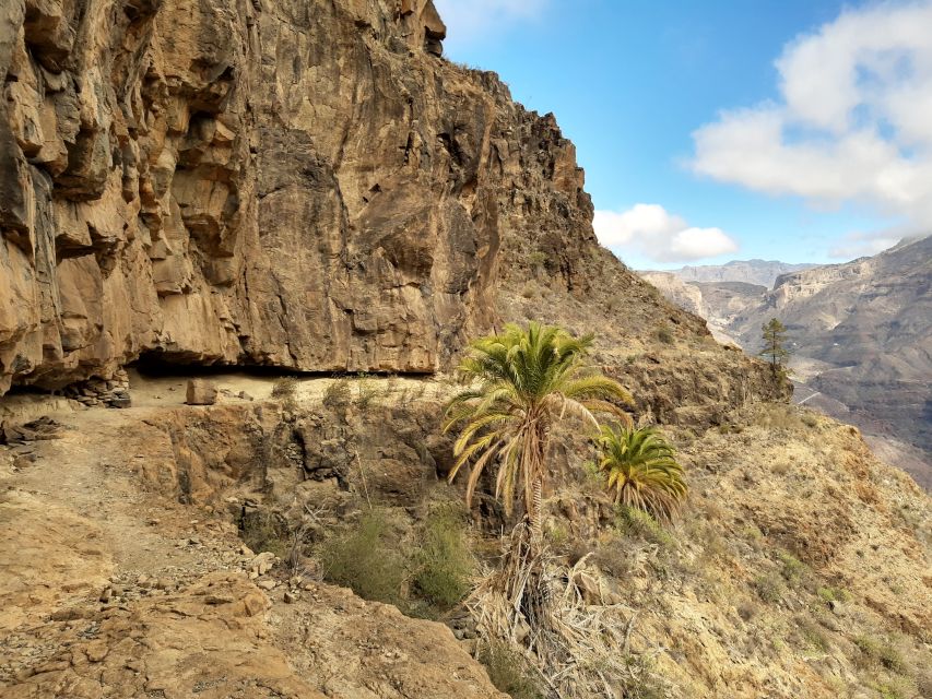 Gran Canaria: Full-Day Guided Hiking With Snacks - Pickup and Timing: South Gran Canaria Starts Early