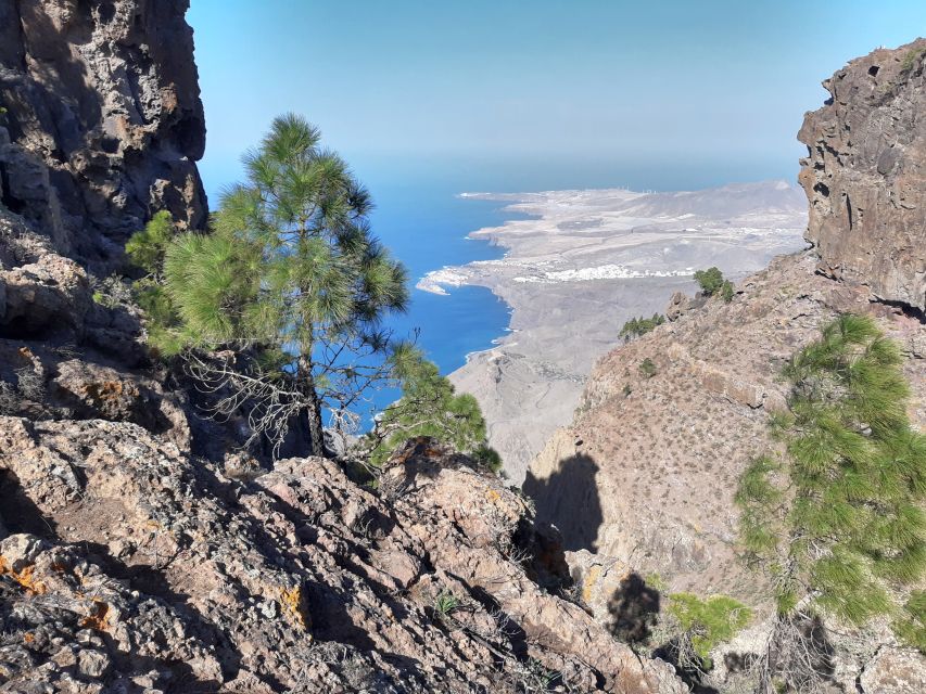 Gran Canaria: Full-Day Guided Hiking With Snacks - What to Bring So You Don’t Hate the Middle of the Day