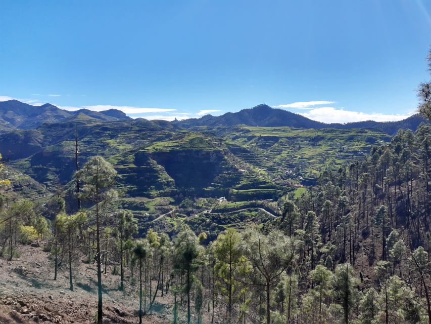 Gran Canaria: Full-Day Guided Hiking With Snacks - Who This Tour Fits Best