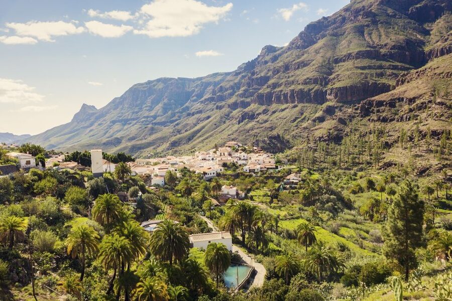 Gran Canaria: Full-Day VIP Tour by Bus - Price and Value: Is $58 a Good Deal?