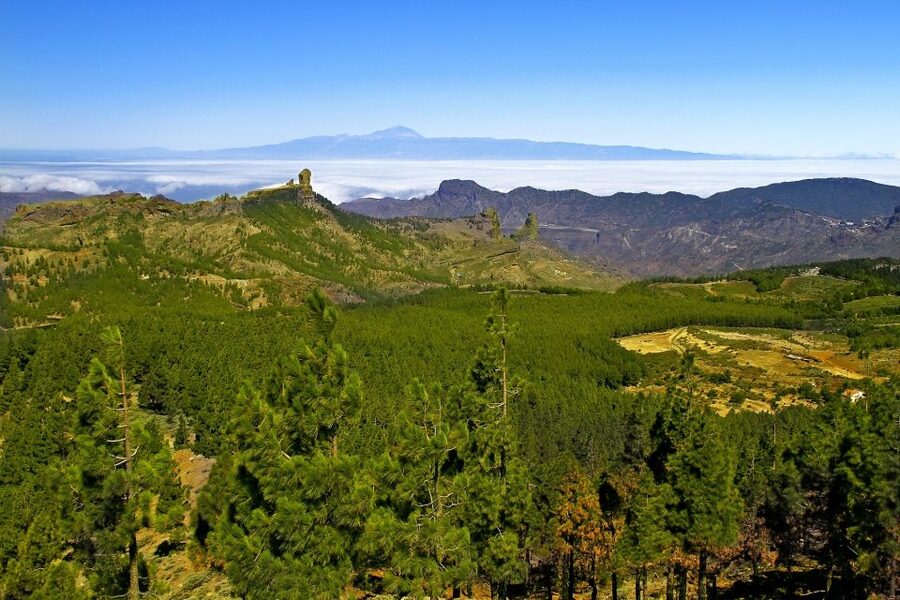 Gran Canaria: Full-Day VIP Tour by Bus - Roque Nublo and Tejeda: Volcanic Rock Views Worth Planning Your Camera For