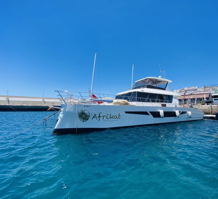 Gran Canaria: Fun Catamaran Cruise with Food and Drinks - Drinks and lunch onboard: the value sits in the included comfort