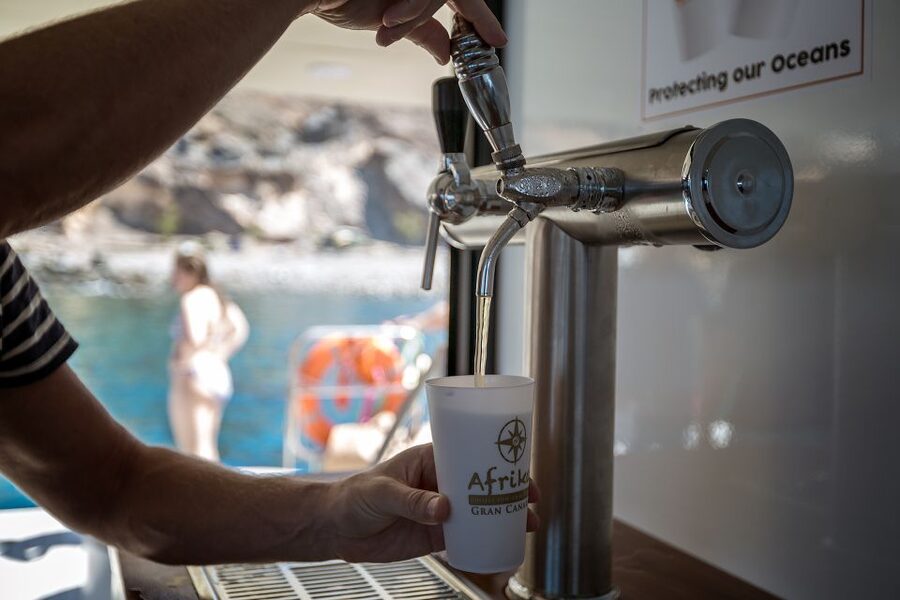 Gran Canaria: Fun Catamaran Cruise with Food and Drinks - Who this Gran Canaria catamaran is best for