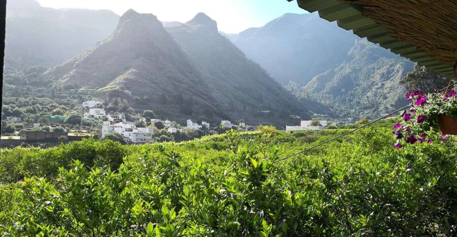 Gran Canaria: Grand Island Tour by Bus with Transfers - Puerto de Mogán: Canals, White Houses, and a Calm Boat Ride