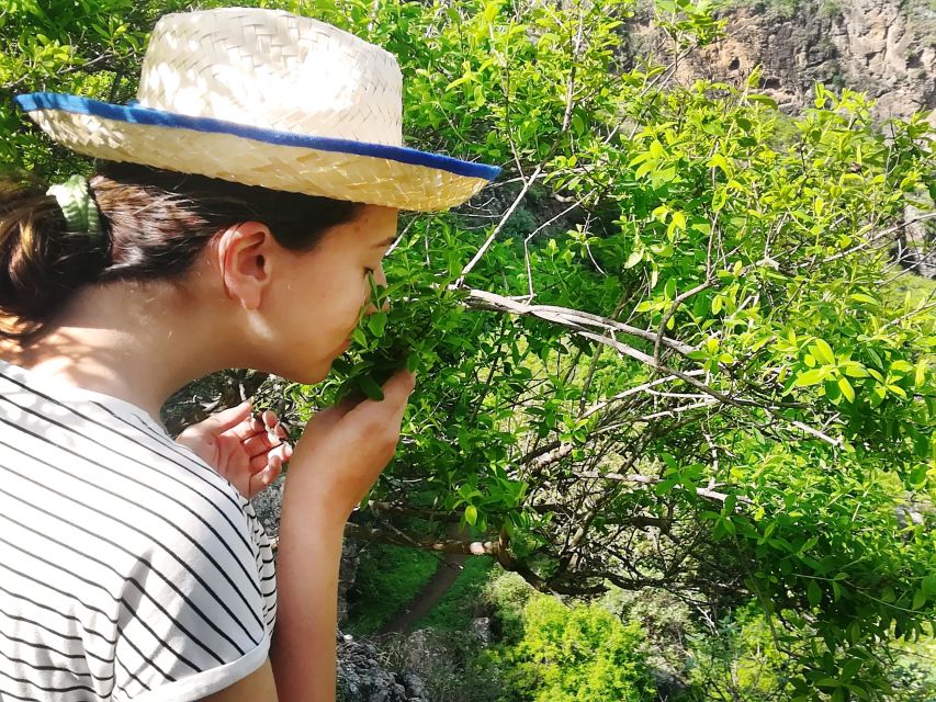 Gran Canaria: Green Witchcraft in the Magic Island - Key things I’d circle before you book