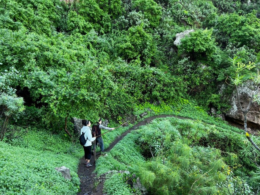 Gran Canaria: Green Witchcraft in the Magic Island - Who this experience is for (and who should skip it)
