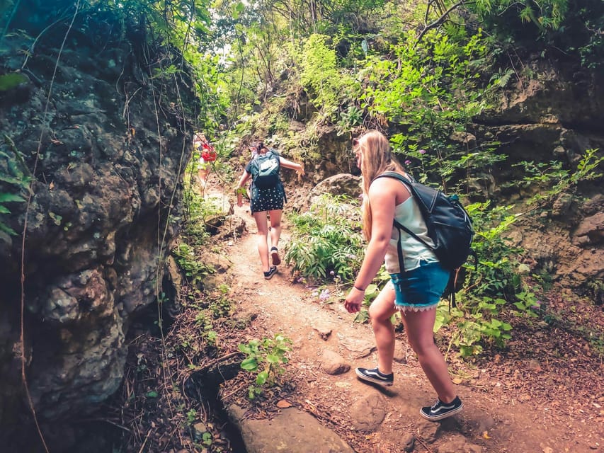 Gran Canaria: Guided Day Tour to Rainforest with Tasting - The Azuaje Ravine Hike: Laurel Forest, Stream Crossings, and Azuaje Spa Ruins