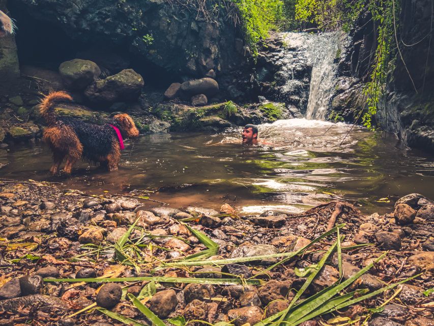 Gran Canaria: Guided Day Tour to Rainforest with Tasting - Ecofinca Ventana Verde: Sustainable Farming and Organic Local Produce
