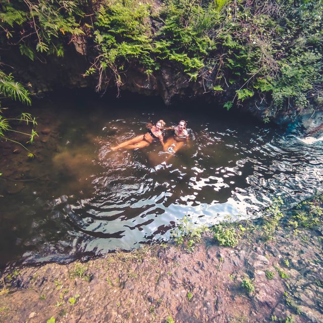 Gran Canaria: Guided Day Tour to Rainforest with Tasting - Timing, Transportation, and Why It Matters for an 8-Hour Day