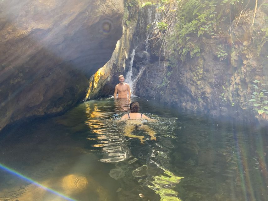 Gran Canaria: Guided Day Tour to Rainforest with Tasting - Who This Tour Is For (and Who Should Skip It)