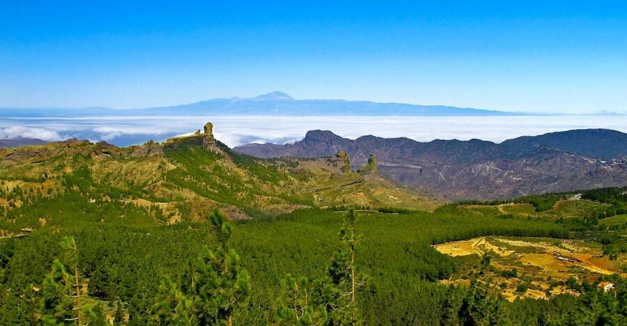 Gran Canaria Highlights Full-Day Tour by Bus - Key highlights worth your attention
