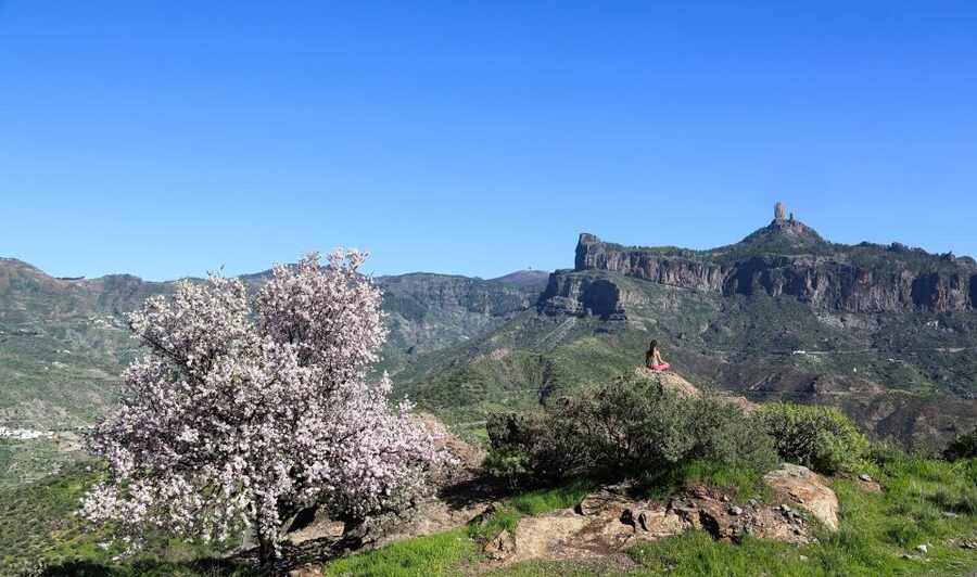 Gran Canaria Highlights Full-Day Tour by Bus - Teror and the Basilica of Nuestra Señora del Pino: pilgrimage-town energy