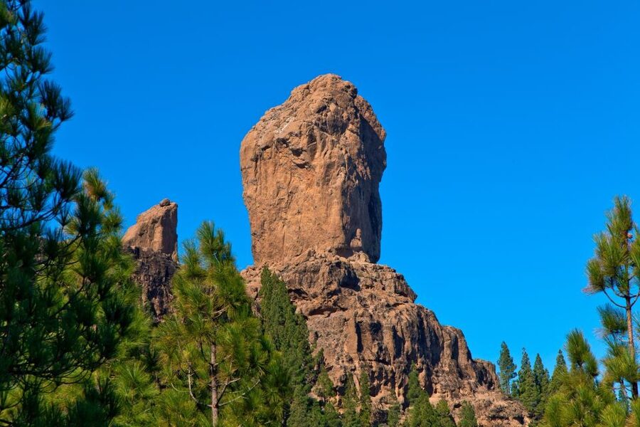 Gran Canaria Highlights Full-Day Tour by Bus - Almond trees, the Valley of a Thousand Palms, and the Aloe Vera stop
