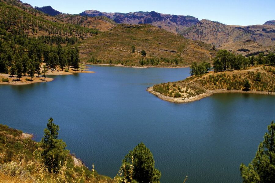 Gran Canaria Highlights Full-Day Tour by Bus - Price and value: what $51 buys you (and what it doesn’t)