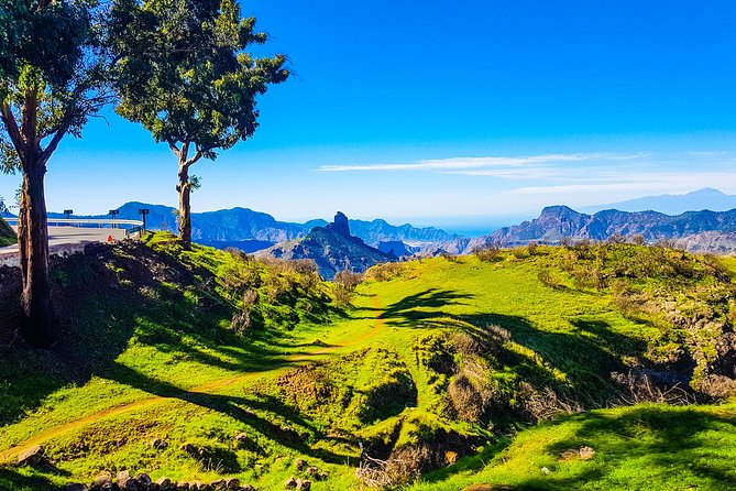 Gran Canaria highlights & hidden gems with local guide Sky Rebels - Lunch picnic with drinks: the value isn’t subtle