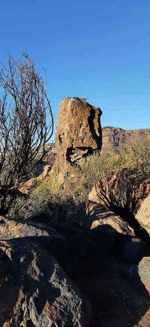 Gran Canaria: Highlights & hidden gems with Sky Rebels - Picnic strategy: how to make the included food work for you