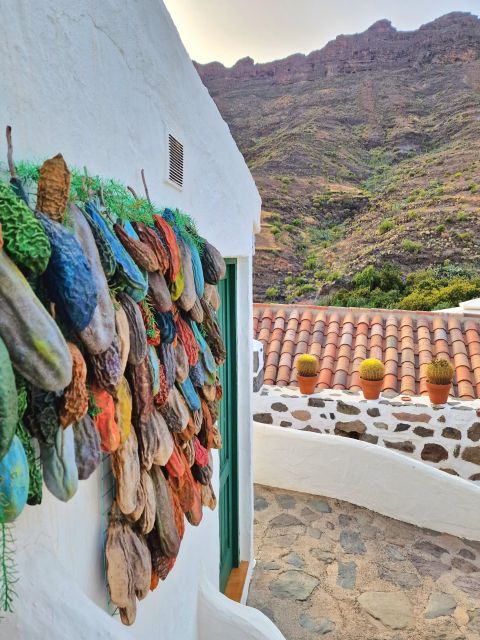 Gran Canaria historical house with mango plantation in Mogan - Mango Plantation Tour: Seeing How Crops Actually Grow