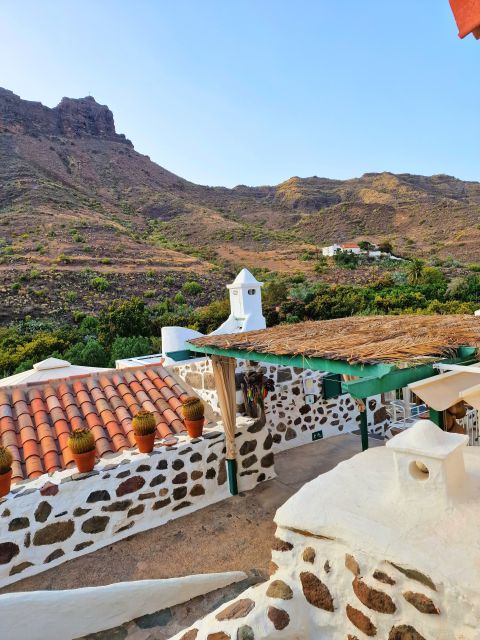 Gran Canaria historical house with mango plantation in Mogan - Vermouth in Mogan: How the Lolito Tasting Works