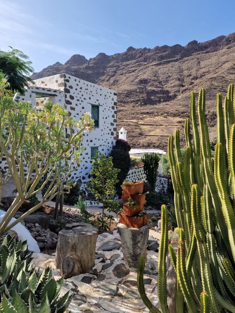 Gran Canaria historical house with mango plantation in Mogan - Gazpachuelo de Mango: The Dessert That Becomes a Story