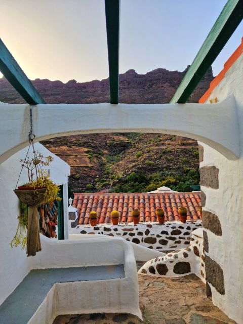 Gran Canaria historical house with mango plantation in Mogan - Cactus Garden Walk: More Than Pretty Photos