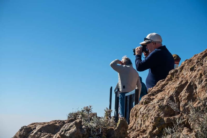 Gran Canaria: Island Highlights Tour with Optional Lunch - Key things worth knowing before you go