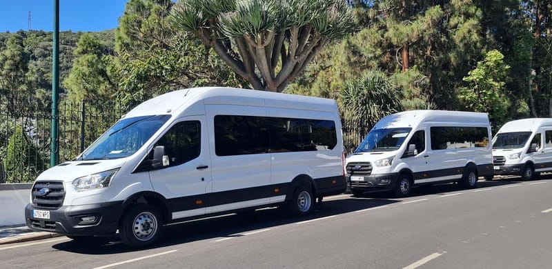 Gran Canaria: Island Highlights Tour with Optional Lunch - Optional lunch in a local village: when it’s worth adding