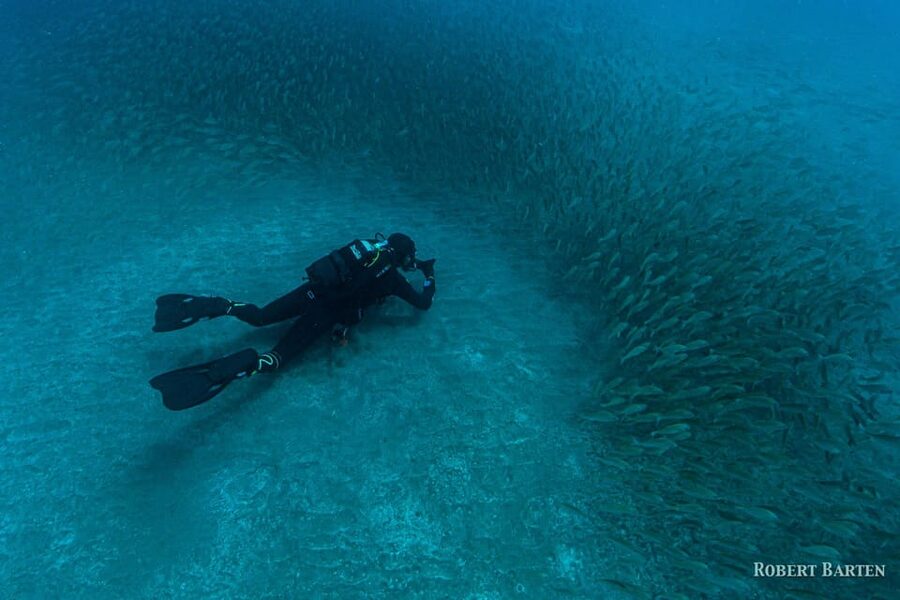 Gran Canaria:Live an Adventure and Learn to Dive with Expert - Small-group attention that actually helps you learn