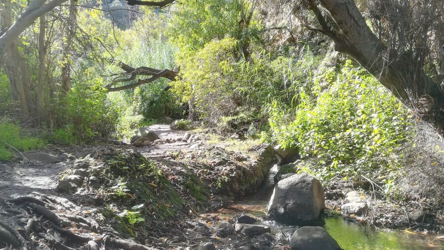 Gran Canaria: "Magic Waterfalls" Hiking Tour - Magic Waterfalls in Gran Canaria: the quick take