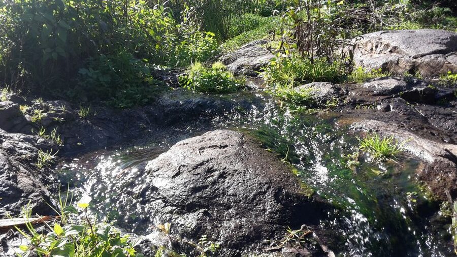 Gran Canaria: "Magic Waterfalls" Hiking Tour - Entering the day: hotel pickup from Las Palmas-area zones