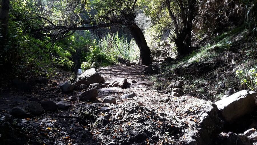 Gran Canaria: "Magic Waterfalls" Hiking Tour - Your mountain guide and the small-group advantage (UIMLA + up to 8)