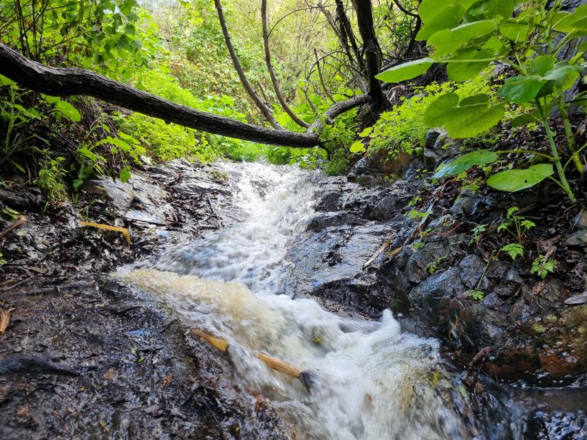 Gran Canaria: "Magic Waterfalls" Hiking Tour - Who this tour suits best (and who should skip it)