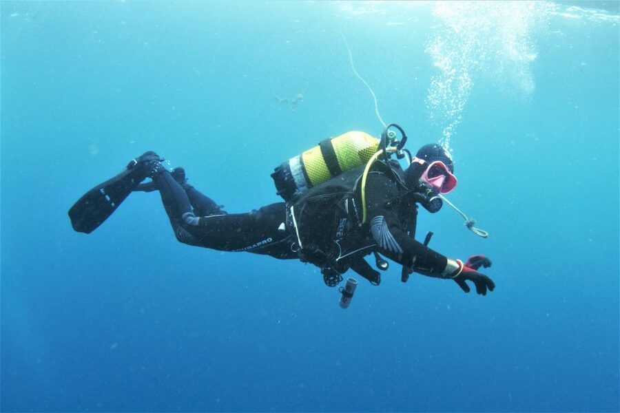 Gran Canaria: Morning Scuba Dive - What you’ll see with 20–30 meter visibility